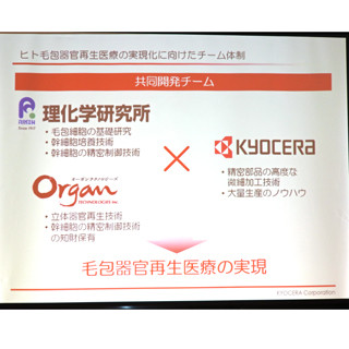 京セラと理研、毛包器官の再生による脱毛症治療に向けた共同研究を開始