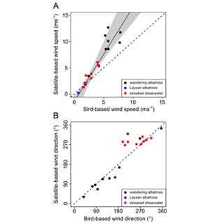 東大、海鳥の飛行データから気象衛星で捉えきれない海上風データを取得