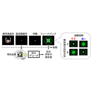 ATR、fMRIとAI技術で顔の好みを好き/嫌い両方向に変化させることに成功