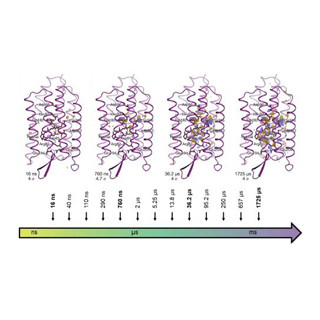 京大など、膜タンパク質が働く瞬間を原子レベルで捉えることに成功