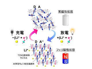 東北大、イオンの出入りで磁性状態を制御できる電磁石を開発