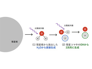 超小型探査機「プロキオン」、彗星核からの水分子放出率の絶対量決定に貢献