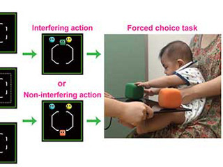 正義の味方への憧れは本能か? - 京大、生後6カ月の乳児に正義感を確認
