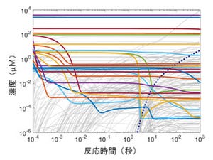 阪大、タンパク質合成反応の大規模全成分計算機シミュレータを開発