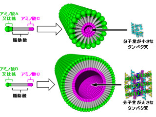 産総研、中分子/高分子を安定的に貯蔵可能なナノカプセルの開発に成功