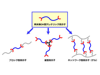 タンパク質を固定化できる高分子の精密な合成と材料化に成功 - 東京農工大