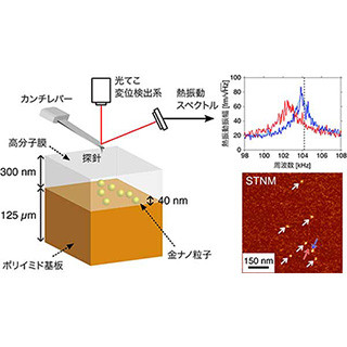京大、原子間力顕微鏡をもとにした「走査型熱振動顕微鏡法」を開発