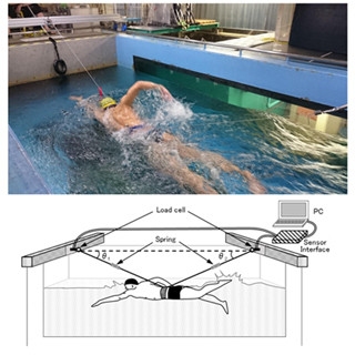 スイマーが受ける抵抗は泳ぐ速度の3乗に比例 筑波大が抵抗測定法を考案