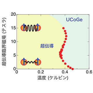 東北大、ウラン化合物強磁性体UCoGeの超伝導発現機構を解明