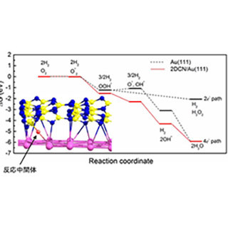 界面のナノ構造化により不活性条件下での金触媒を活性化 - NIMSと北大