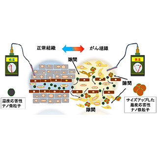 九大、がん組織の温度に応答して薬剤分子を集める仕組み - DDSの課題解決へ