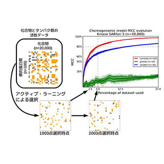 京大、ビッグデータを使わないで新薬の候補物質を探索する手法を開発