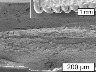 セルロースを材料とする3Dプリント技術を開発 - MIT