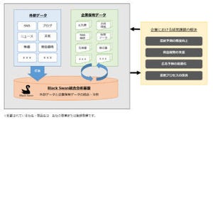 MKI、英Black Swanとビッグデータ分析サービスの日本展開で協業
