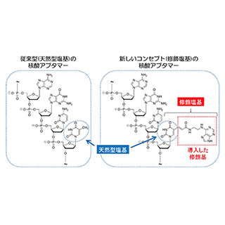 群馬大、唾液中のストレスマーカーを検出する人工核酸の開発に成功