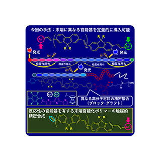 首都大、π共役ポリマーの2つの末端に異なる官能基を導入する合成法を開発
