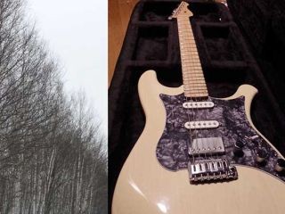 京大、紙の原料となるシラカバでギターを試作 - 絶滅危惧樹種の代替材に