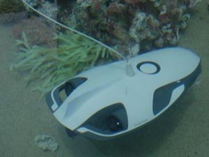 釣りができる水中ドローン「PowerRay」国内発売 - VR HMDで潜水体験も