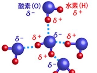 東大など、高分子電解質ブラシ中の水は常温でも氷のように水素結合