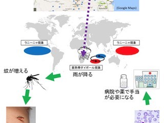 南アフリカの降水量・気温の変動がマラリア発生率に及ぼす可能性- JAMSTEC