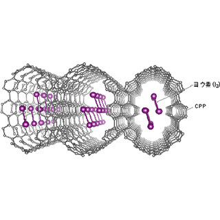 カーボンナノリングとヨウ素の複合体に電気刺激で電子伝導性と白色発光-名大