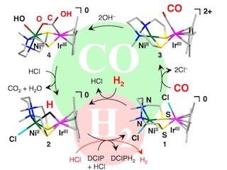 九大など、水素と一酸化炭素を燃料とする燃料電池触媒を開発に成功