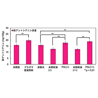 名古屋大学、低温プラズマ処理により抗酸化物質の多い苺を作出できると発見