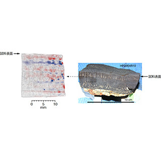 産総研、走査型SQUID顕微鏡で海底のマンガンクラストを磁気イメージング