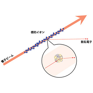 不安定原子核を見るための電子散乱実験装置が完成 - 理研など