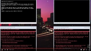 NotPetya/Petyaが暗号化する手順を動画でチェック