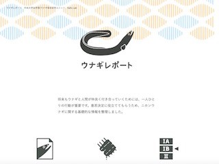 中央大、ニホンウナギに関する情報サイト「ウナギレポート」を開設