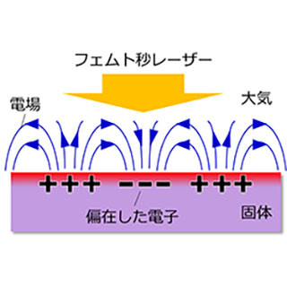 農工大、フェムト秒レーザーでシリコン表面に電子の集団振動現象を観測