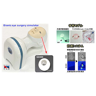 東大など、人間そっくりな眼科手術用シミュレータを開発
