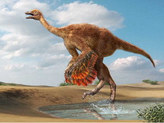モンゴルで新種の恐竜を発見 - 北大