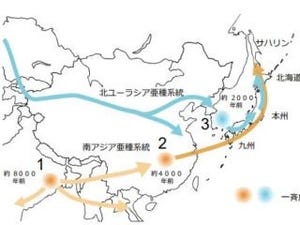 日本産ハツカネズミのルーツは4000年前と2000年前に別ルートで存在 - 北大