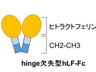 副作用のない医薬品の実現に期待 - 東京工科大が血中安定性向上技術を開発