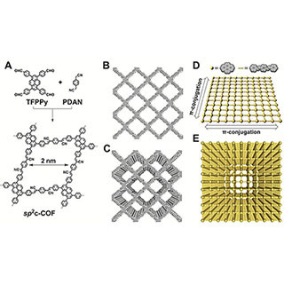 JAIST、sp2炭素からなる2次元共役有機骨格構造体の合成に成功