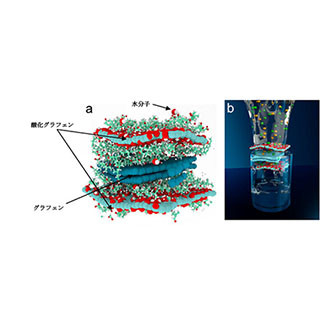 信州大、ハイブリッド積層構造の水処理用ナノカーボン分離膜を開発