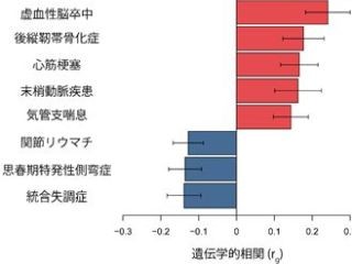 理研など、肥満に影響する遺伝マーカーを解明