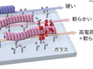 京大、目的地に狙い通りの微小管がたどり着くナノシステムを開発