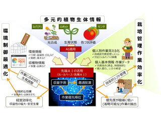 凸版印刷など、植物生体情報とAIで植物工場における生産最適化の研究