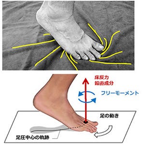 東京農工大、下肢に生じる捻じれストレスが高まってしまう歩き方を解明