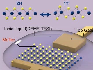 静電気による二次元薄膜の相変化を実証、新原理メモリへ応用 - バークレー研究所