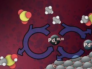 メタンガスを低コストで有用物質に変換する新手法開発 -MIT