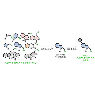 理研、ペルフルオロアルキル基を持つ含窒素複素環化合物の合成反応を開発