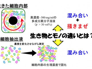 "モノ"と"生き物"の違いは「元気な動き」にあった - 九大