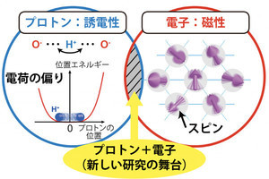 長年謎だった量子常磁性を安定化させるメカニズムを解明 - 東大