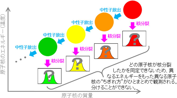 核分裂