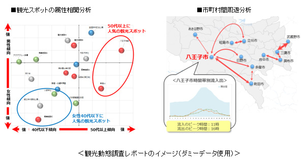 観光動態調査レポートのイメージ