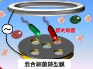 0157による食中毒などを未然に防ぐ超迅速検出法の開発へ - 大阪府立大